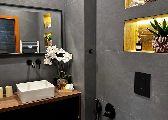 Deluxe 217 보로베츠